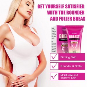 Uachtar Dheisiú Cíche